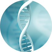 Plasmid DNA Image