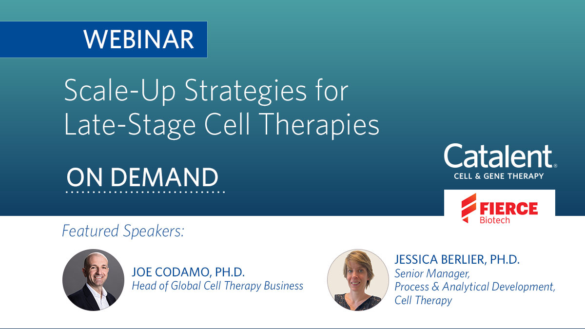 Webinar: Scale-up Strategies for Late-stage Cell Therapies