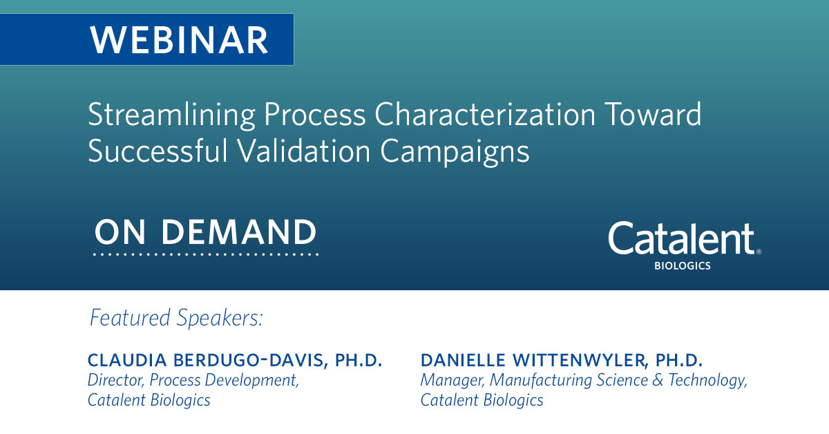 Process Characterization for Successful Validation Campaigns