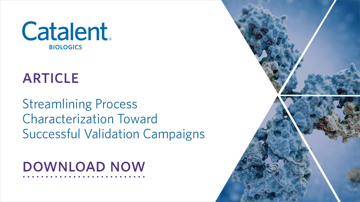 Streamlining Process Characterization for Validation Campaigns