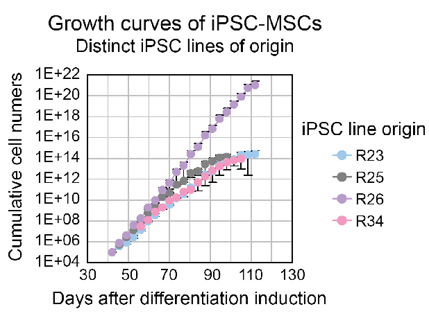 A figure of growth curves of four different iPSC-MSC lines, originating from R23 (blue), R24(gray), R26(purple) and R34(pink). The Y-Axis shows cumulative cell numbers, with the scale running from 1E+04 to 1E+22. The X-Axis shows days after differentiation induction, with the scale running from 30 to 130 days. All lines begin at day 40 between 1E+04 and 1E+06 and increase linearly until around day 70 when the blue, gray, and pink lines begin to level off around 1E+14. The purple line, R26, continues increasing linearly until day 110, where it is between 1E+20 and 1E+22.