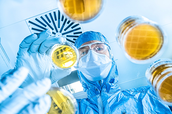 A person in a protective suit and mask holding and observing petri dishes.