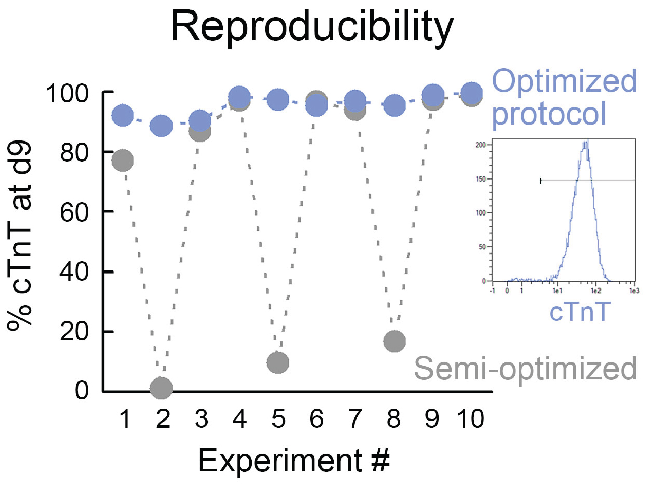 A line graph showing percent of cTnT (cardiac Troponin C, a biomarker of myocardial cells) at day 9 of ten different experiments with a semi-optimized protocol and ten other experiments with an optimized protocol. For the semi-optimized protocol, experiments 2, 5, and 8 show very low levels of %cTNT, less that 20%. All optimized experiments show %cTNT above 90%, demonstrating the consistency of the optimized protocol. 