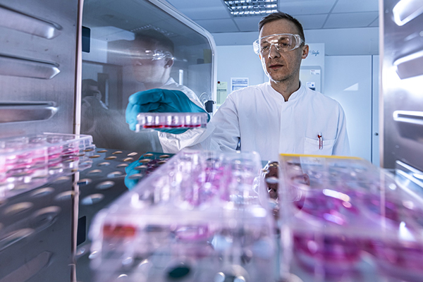 A scientist wearing safety goggles and a lab manipulates cells in cell culture dishes and media. The scientist is placing the cell culture dishes in a large incubator. The setting suggests an advanced laboratory, focusing on cellular research.