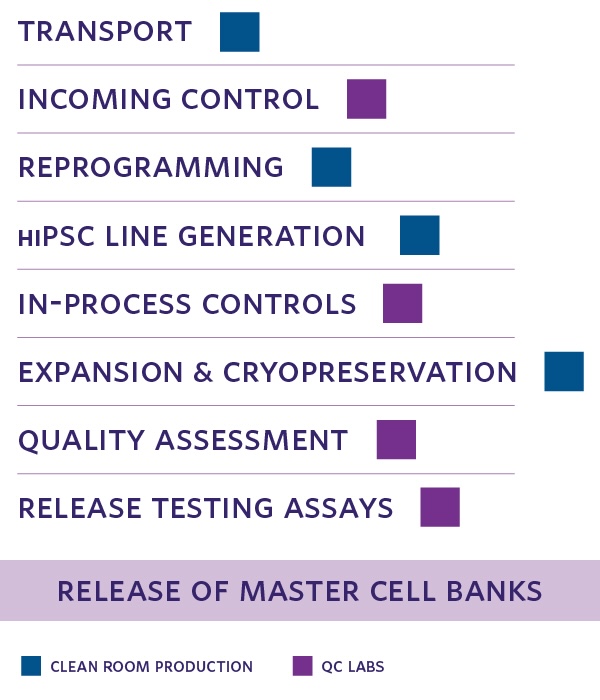 Steps in the creation of master cell banks, in order. Transport to the facility proceeds Incoming Control, Reprogramming, and hiPSC Line Generation. Of these, “Incoming Control” is the only not performed in clean rooms. Next are the In-Process Controls, Expansion and Cryopreservation, Quality Assessment, and Release Testing Assays. Of these, only Expansion and Cryopreservation is performed in the clean rooms, with the others taking place in the QC labs. The master cell banks are then ready for release.