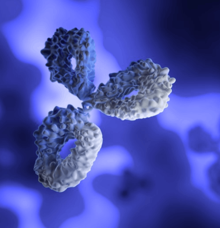 Accelerate Your Biologics with GPEx® Lightning